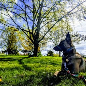 Meet your Posher, Levi